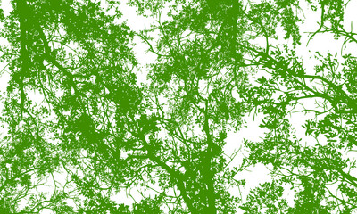 Green tree branches and leaves silhouette background. nature art.