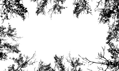 Tree branches black silhouette frame with copy space background. botanical border background.