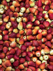 Fresh harvest strawberries creating vibrant food background