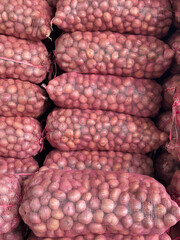 Fresh harvested red potatoes filling mesh bags