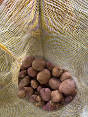 Fresh small red potatoes in yellow mesh bag