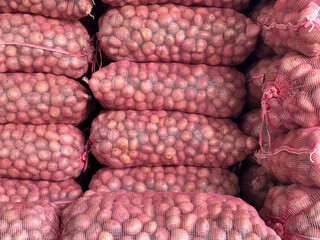 Stacking red potatoes in mesh bags for market distribution