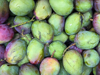 Mangoes piled high showing fresh tropical fruit