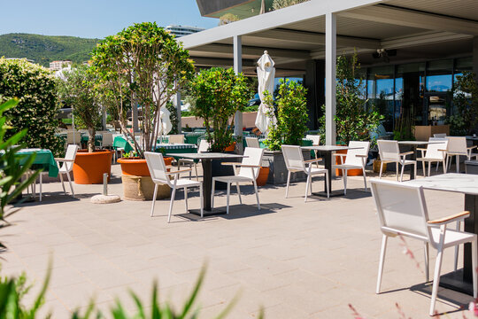 Spacious restaurant terrace with tables among potted ficus greenery. Open dining layout, relaxed hospitality flow, and everyday comfort shaping modern leisure spaces.