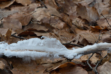 Real Ice hair  given by mother nature