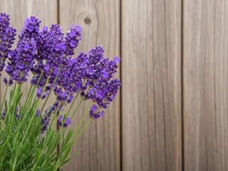 Purple lavender blooms against wooden fence