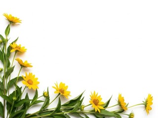 Bright yellow flowers border