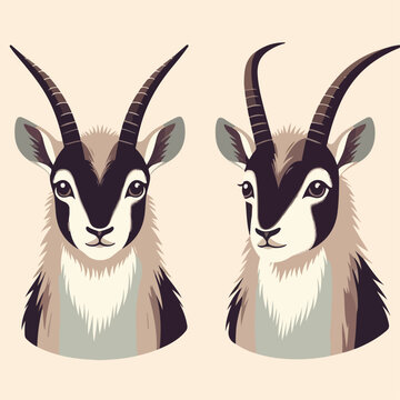 flat illustration of saola animal