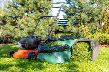 Fototapeta premium Lawnmower on a sunny freshly mown lawn and full bag of freshly cut grass