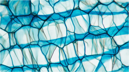 Microscopic view of biological cells forming an organic network, showing blue protoplasm and a cellular structure with interconnected membranes creating an abstract pattern