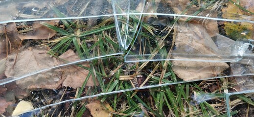 Broken glass on autumn grass