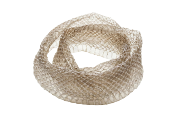 Shed snake skin texture isolated. Molted reptile hide circle.