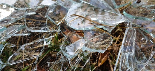 Broken glass on autumn grass