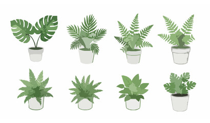 Minimal watercolor potted plant and fern illustrations in green for modern botanical design © MstMonisha