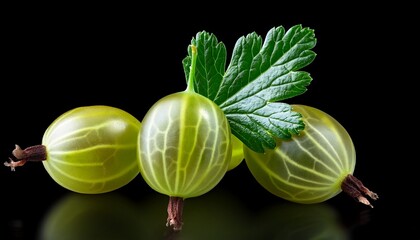 a close up of a green gooseberry fruit with a leaf isolated on a solid black background