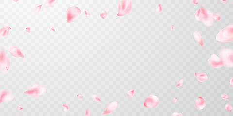 Beautiful flower petals background vector illustration.