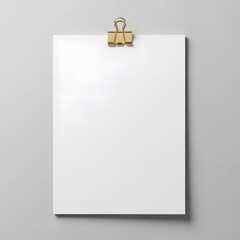 화이트 페이퍼 & 골드 클립