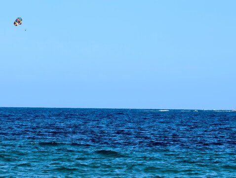 lone bird soars over ocean, quiet seabird gracefully soaring over endless and boundless sea area