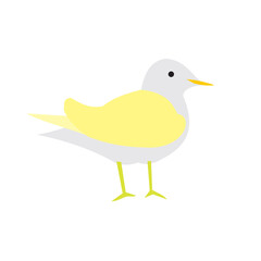 yellow bird on a white background