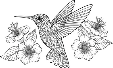 Obraz premium Hummingbird line art, black and white, floral illustration, nature drawing, decorative bird, intricate wings, leaves, flowers, coloring page, elegant design