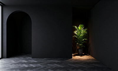 Minimalist Black Interior with Arches and Green Plant