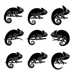 Chameleon Silhouette Icon Set with Side Views for Reptile and Wildlife Visual Projects