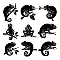 Chameleon Lizard Icon Set Showing Multiple Poses for Wildlife, Nature, and Animal Education Designs