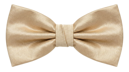 Luxury Gold Champagne Satin Bow Tie Fashion Accessory