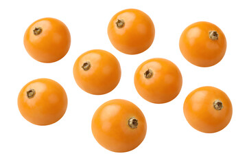 physalis frucht isoliert auf transparentem hintergrund, freigestellt, png datei