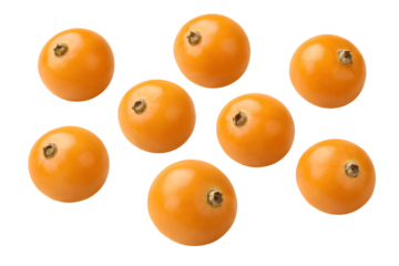 physalis frucht isoliert auf transparentem hintergrund, freigestellt, png datei