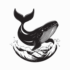 Whale Image Vector isolated on white background. Concept of ocean animal illustration.