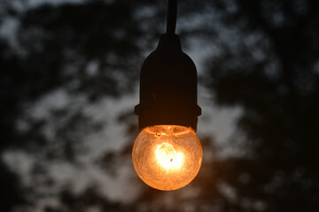 Light bulb hanging glowing outdoor evening electricity filament illumination warms quiet twilight garden scene, single round glass lamp suspended against dark blurry tree silhouette