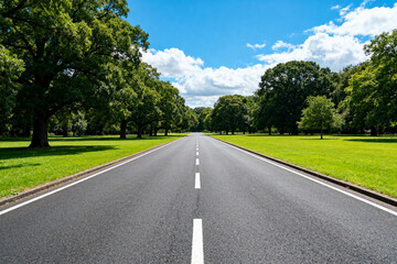 Fototapeta premium Scenic Asphalt Road Amid Lush Greenery