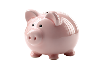 Pink Piggy Bank on White Background