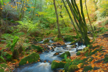 Cascading water and autumn foliage colour digital oil painting of Wyming Brook Nature Reserve in the Derbyshire, Peak District National Park.
