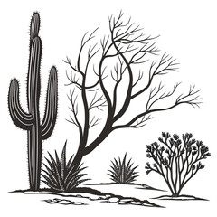 Desert landscape illustration