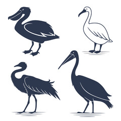 Silhouette of various birds