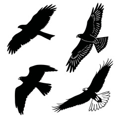Silhouettes of birds in flight
