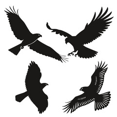 Silhouettes of birds in flight