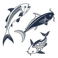 Three different fish illustrations