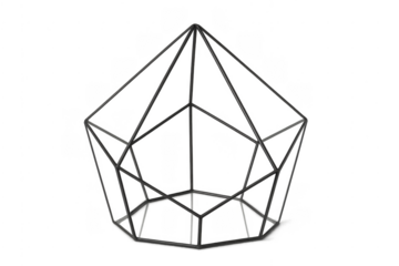 Black wire geometric terrarium frame on transparent background