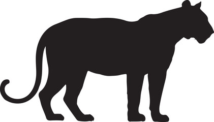 Obraz premium Silhouette of a Standing Malayan Tiger Isolated on a White Background