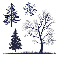 Winter trees silhouette