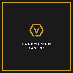 pv or vp hexagon logo