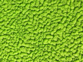 Zbliżenie na powłokę z glonów © Kumulugma