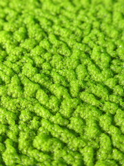 Zbliżenie na powłokę z glonów © Kumulugma