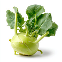 Fresh green kohlrabi with leaves isolated on white background