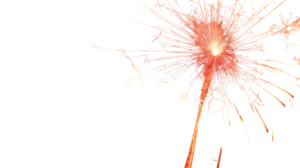 Vibrant firework explosion on transparent background