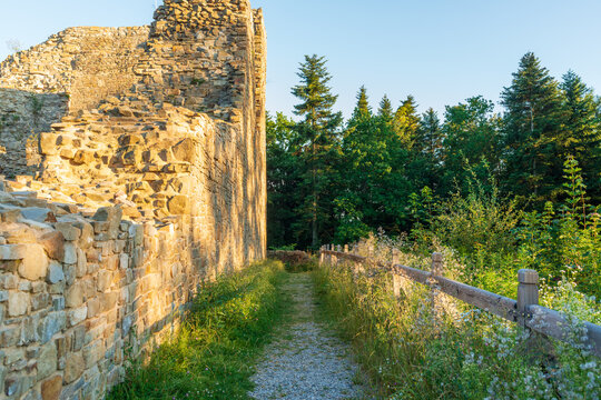 A narrow gravel path runs along an old stone ruin wall with a wooden fence and wild plants, leading toward a green forest under warm late day light, perfect for history and hiking themes.