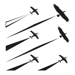 Silhouettes of airplanes and birds